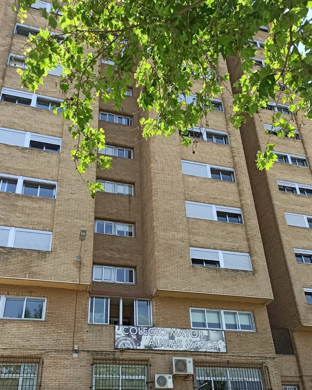 Colegio mayor en Valencia: qué es y en qué se diferencia de una residencia